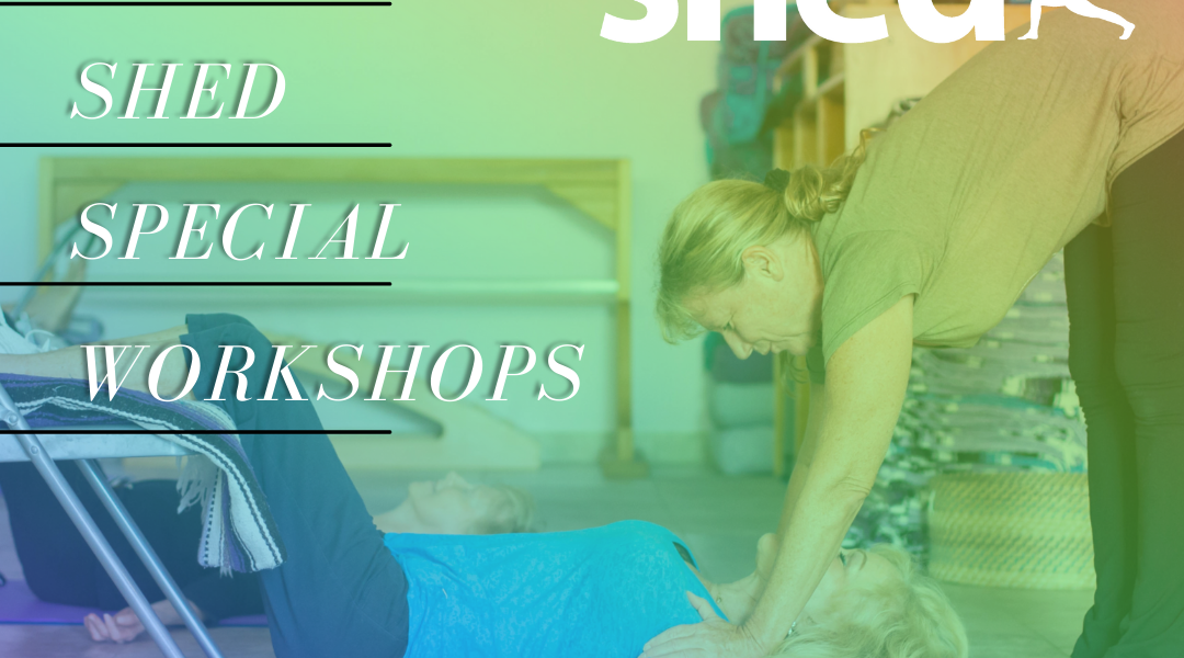Special Monthly Workshops